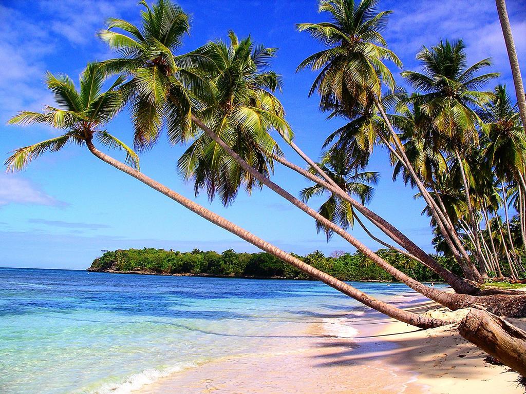 فيلا ديسايفي Mangoplaya المظهر الخارجي الصورة