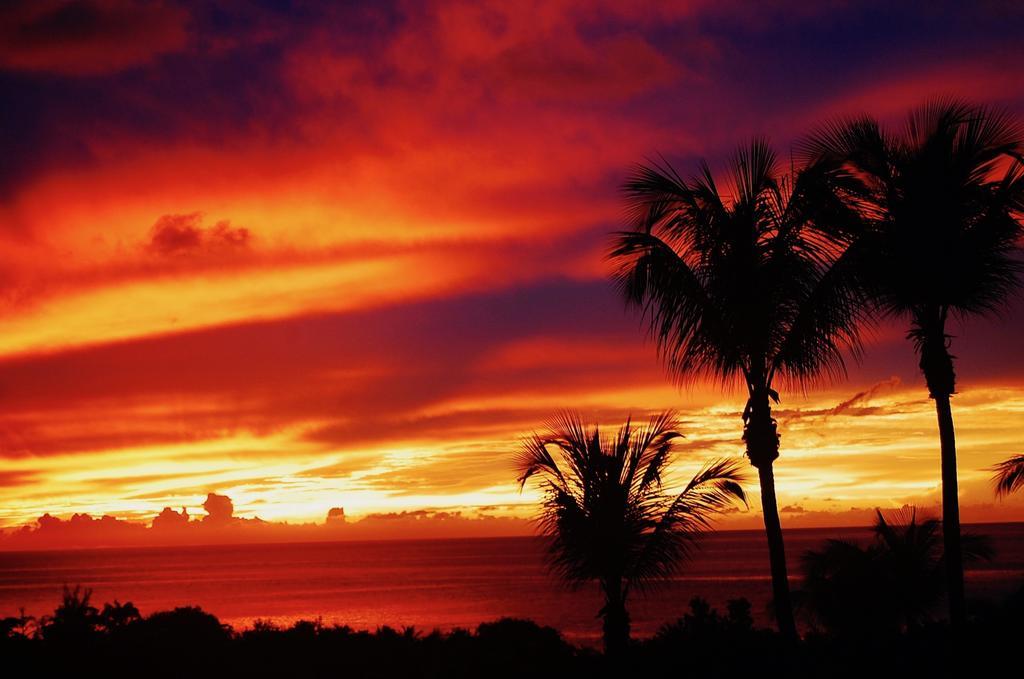 فيلا ديسايفي Mangoplaya المظهر الخارجي الصورة