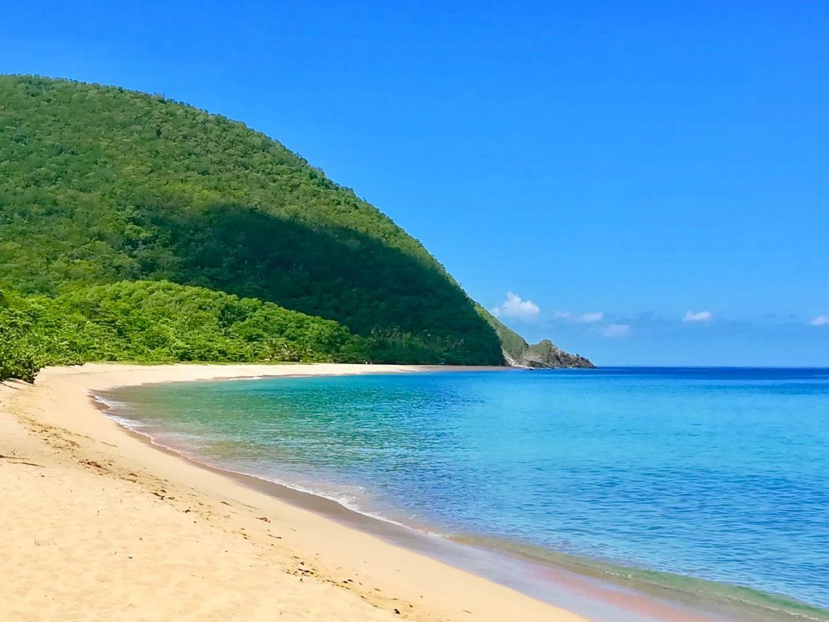 فيلا ديسايفي Mangoplaya المظهر الخارجي الصورة